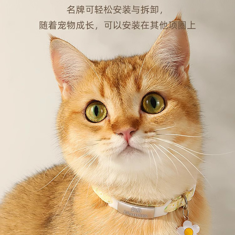 猫牌项圈刻字猫咪小狗狗脖圈脖饰铃铛项链猫猫脖子饰品宠物防丢失