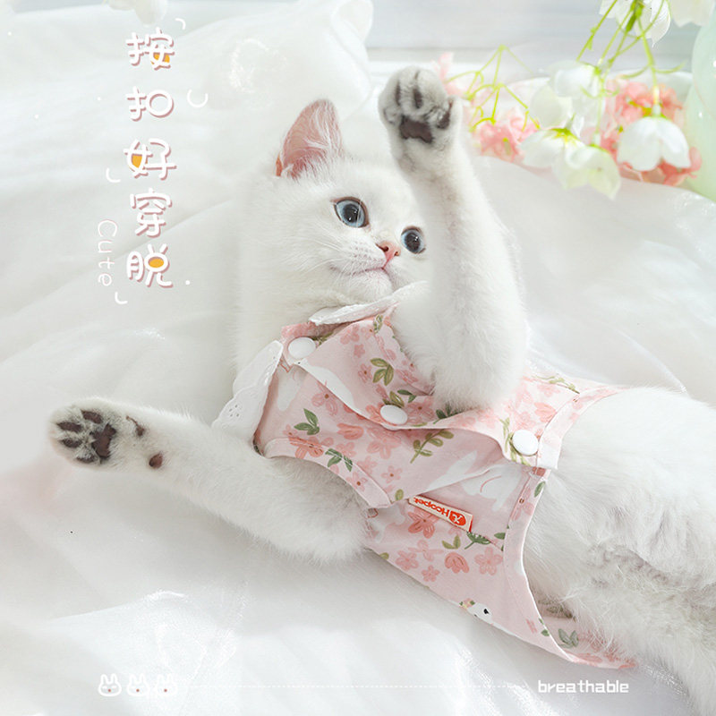 猫咪衣服防掉毛薄款夏天布偶猫服装春秋小猫宠物猫猫幼猫夏季背心,淘宝优惠券,粉丝福利购,淘宝优惠卷