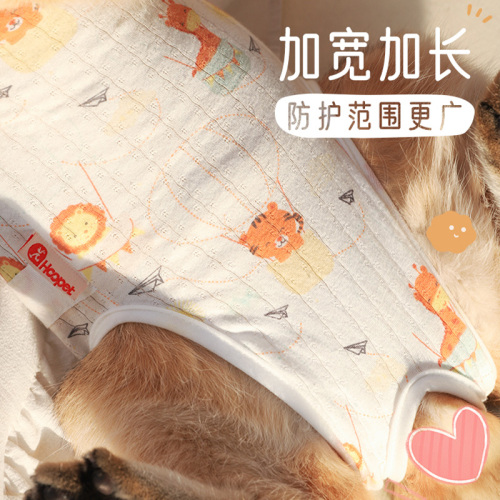 猫咪绝育服母猫手术服衣服透气戒奶服断奶服公猫防舔术后宠物猫猫