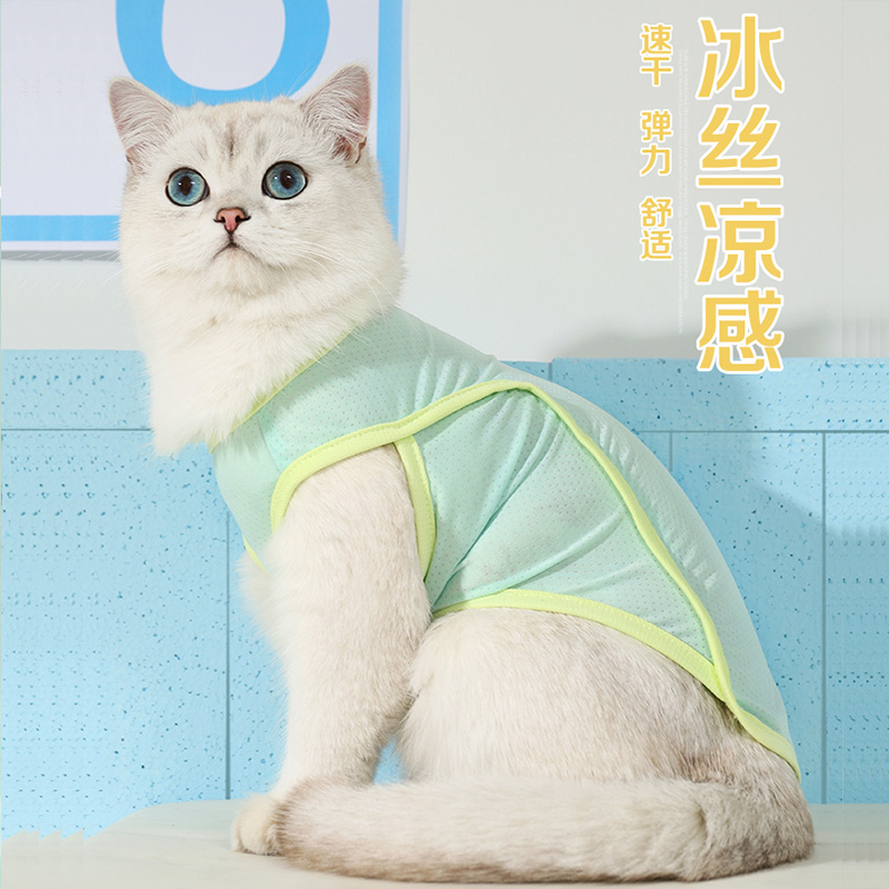 猫咪衣服防掉毛夏季薄款布偶猫狗狗夏天小猫宠物幼猫防晒猫猫背心 - 图2