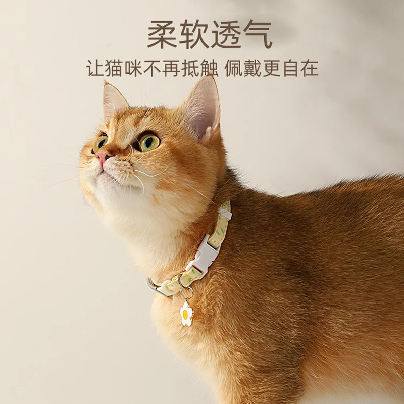 猫牌项圈刻字猫咪小狗狗脖圈脖饰铃铛项链猫猫脖子饰品宠物防丢失