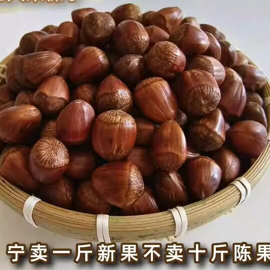 2025新鲜榛子东北榛子大榛子东北特产炒熟榛子大颗粒新货礼盒净重