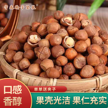 Iron Ridge wild (hazelnut kernel) New cargo Noh Mountain small hazelnut kernel handpicked to shell nut kernel 500g off-shell