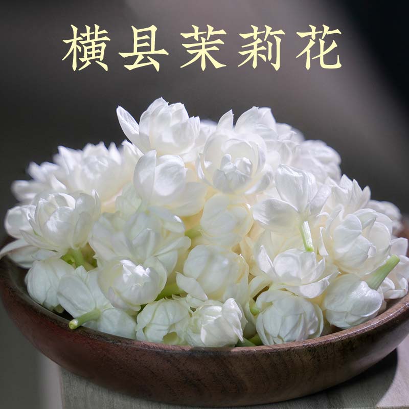 横县茉莉花茶2024新花大朵无梗茉莉雪球茉莉花干花茉莉花苞茶泡茶-图2