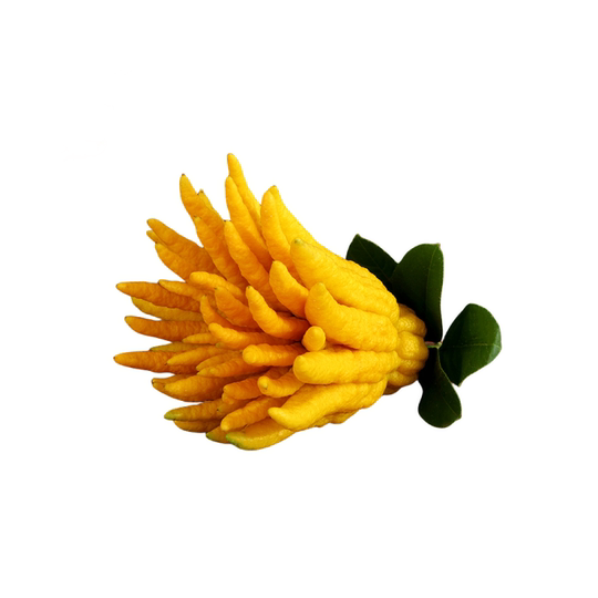 Authentic Jinhua bergamot freshly picked from the origin