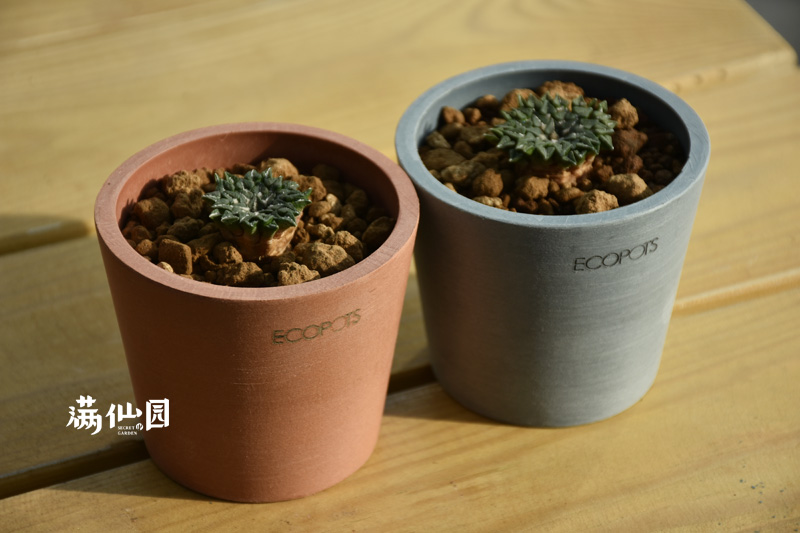 ECOPOTS怡棵 比利时进口树脂花盆8CM 生石花仙人球块根多肉北欧风 - 图3