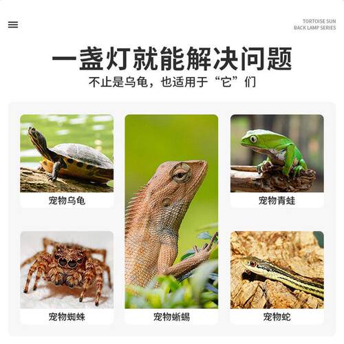 乌龟爬宠晒背灯uva取暖uvb加热保温太阳灯龟灯泡宠物乌龟恒温灯架 - 图0