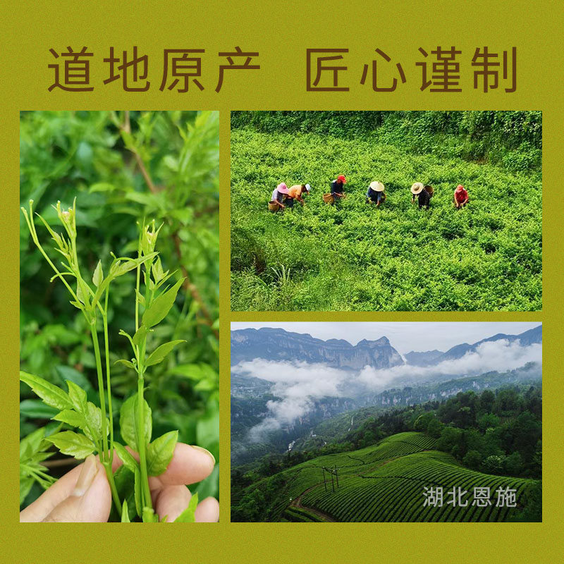 莓茶湖北恩施土家藤茶芽尖龙须茶50g小师姐评茶 - 图1