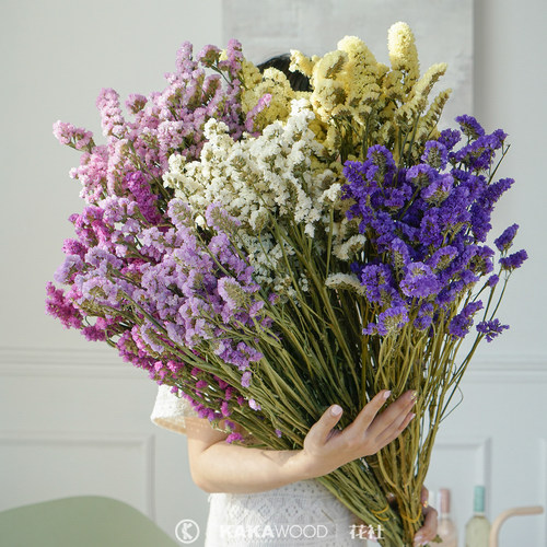 勿忘我干花真鲜花树枝艺术插花干枝diy客厅小清新装饰永生花束 - 图0