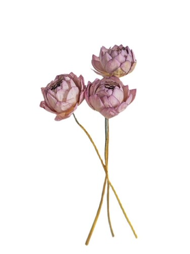 家居干花莲蓬真莲花花束摆件禅意全天然荷花插花客厅桌面装饰拍摄 - 图3