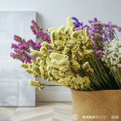 勿忘我干花真鲜花树枝艺术插花干枝diy客厅小清新装饰永生花束 - 图1