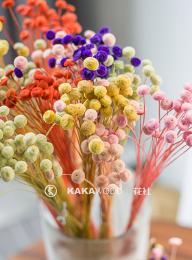 进口天然彩色自然干燥花