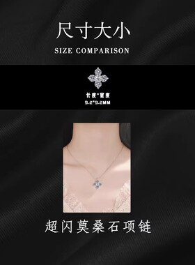 925纯银轻奢高级感项链女