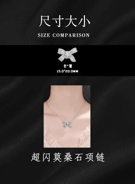 925纯银轻奢小众高级感项链女