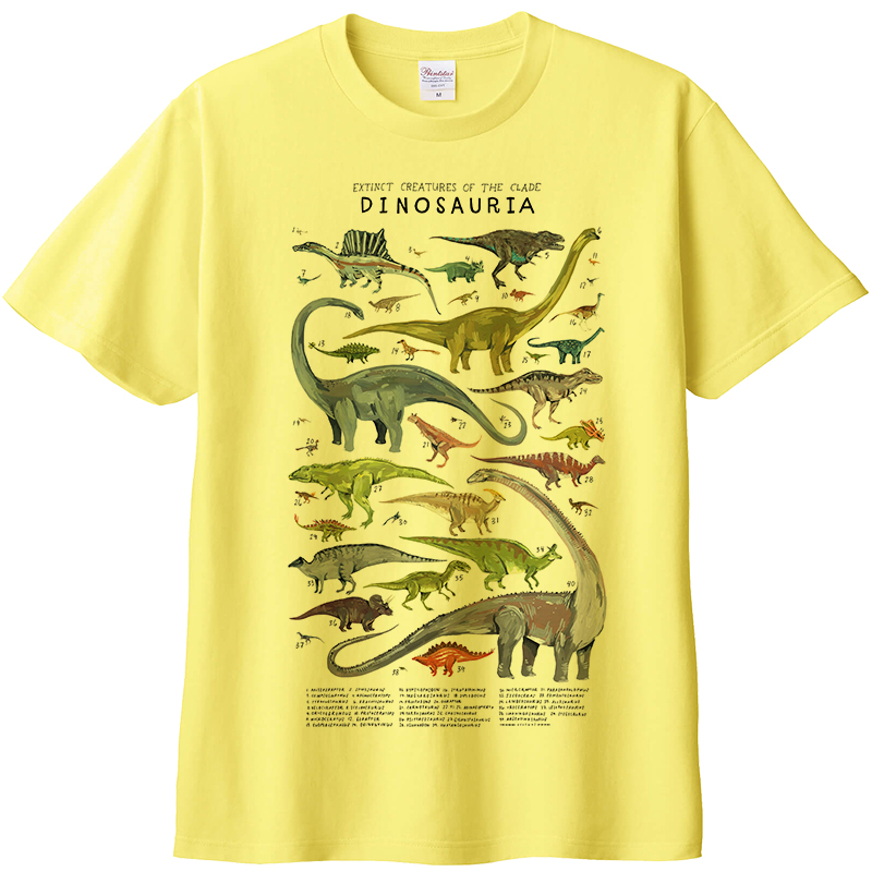 侏罗纪恐龙介绍短袖T恤 霸王龙纯棉圆领个性手绘插画亲子打底衫