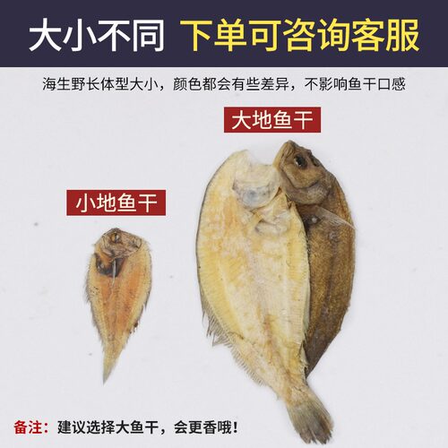 正宗汕尾大地鱼干250g广东潮汕大左口淡干铁脯比目鱼干丰鱼干特级 - 图0