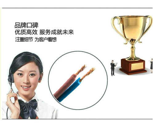 大白插排系列 无带线插孔 小插座无线插排插不带线两位家用接线板 - 图1