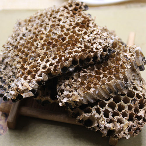 中药材 蜂房 露蜂房 马蜂窝 蜂巢 野蜂窝 黄蜂窝 500克包邮正品 - 图0