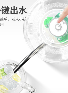 一年换新子路电动双泵抽水器