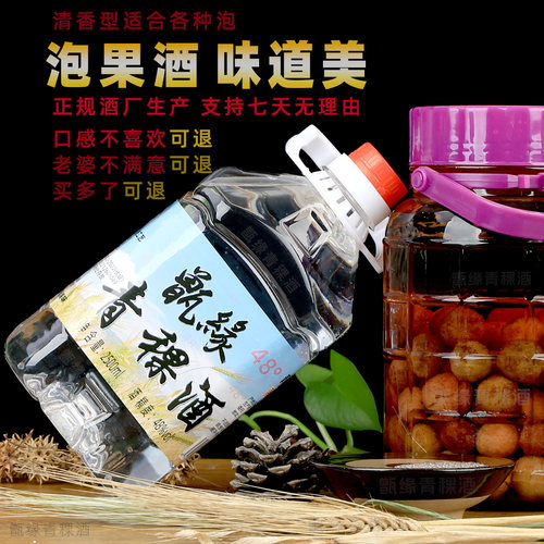 青稞酒48度清香型纯粮食酿酒白酒桶装散装酒散酒青海互助青稞原浆 - 图2