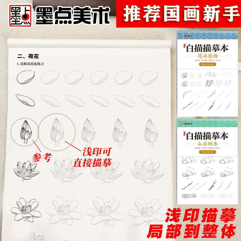 中国画白描零基础入门墨点美术工笔画描摹本线描画册牡丹花卉植物芥子园画谱山石树木工笔画底稿白描画稿国画临摹画册
