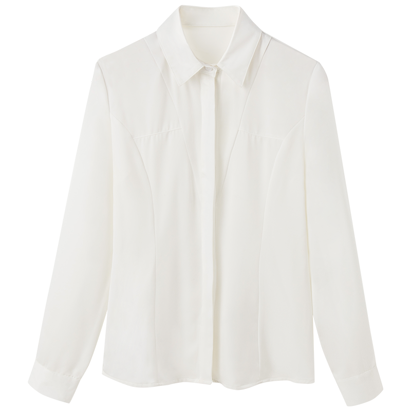 ol职业气质长袖雪纺设计感小众衬衫 丽影风尚衬衫
