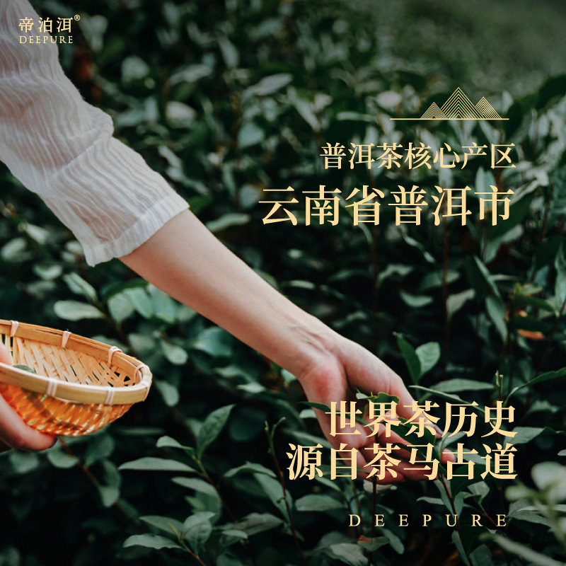 帝泊洱糯香普洱茶珍10支装速溶茶粉冷泡即溶0糖0脂办公室便携茶包