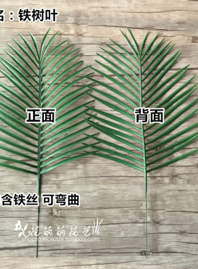 仿真树枝塑料扇形道具散尾叶