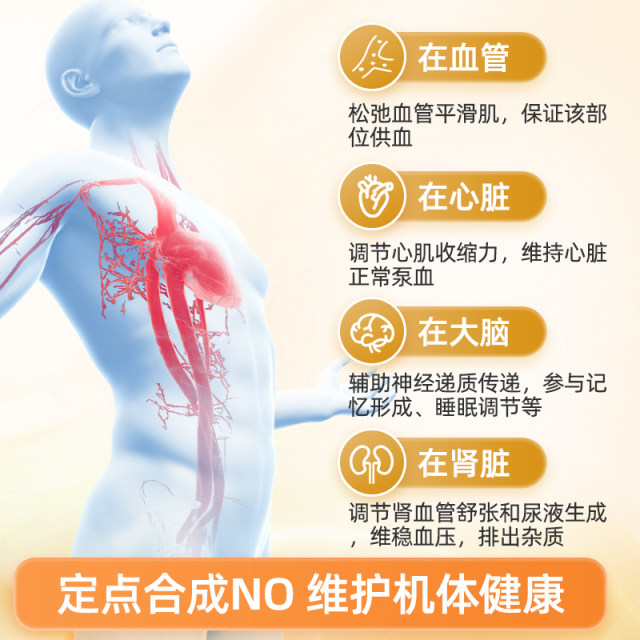 ຜະລິດຕະພັນເສີມແບບແຄບຊູນ nitric oxide ຍີ່ຫໍ້ອາເມລິກາ arginine citrulline ອາຍຸກາງແລະຜູ້ສູງອາຍຸ cardiovascular ແລະ cerebrovascular ຄວາມດັນເລືອດ lipid ເລືອດ