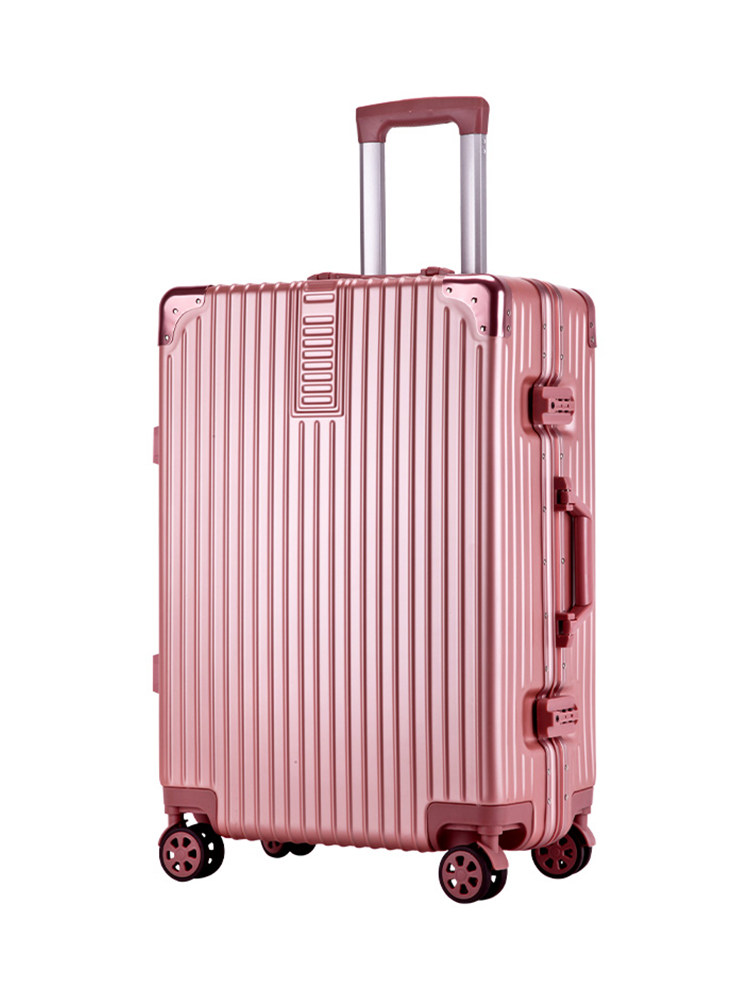 抖音同款男24寸女万向轮密码拖箱 狼小姐旅行箱
