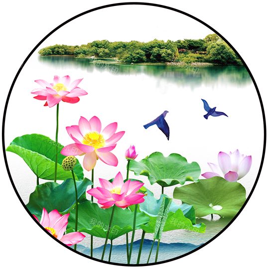 净秽荷花图白莲图卫生间浴室厨房厕所招财去秽装饰画九鲤鱼自贴画