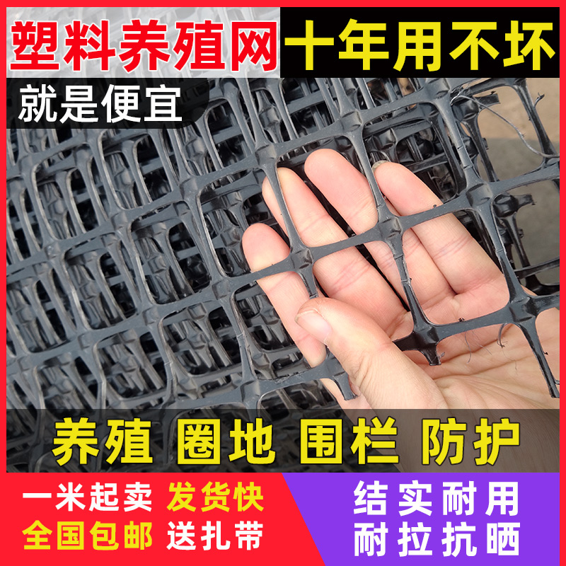 塑料网格养殖网栅栏防护网护栏网围栏网菜园围网养鸡栏圈玉米户外-图2