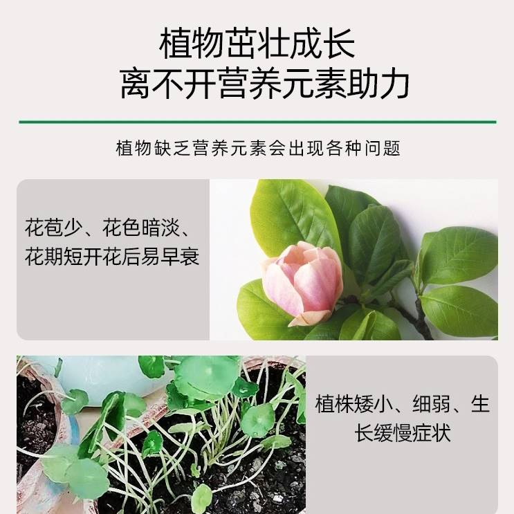 园艺盆栽植物营养液通用型土水花卉肥料养花浓缩花草叶面肥