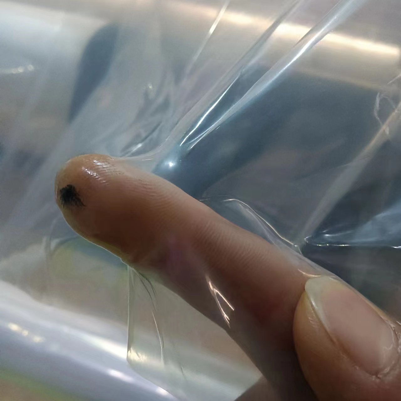 整卷聚乙烯PE塑料薄膜加厚大棚膜透明包装膜防雨布防尘封窗塑料布,淘宝优惠券,粉丝福利购,淘宝优惠卷