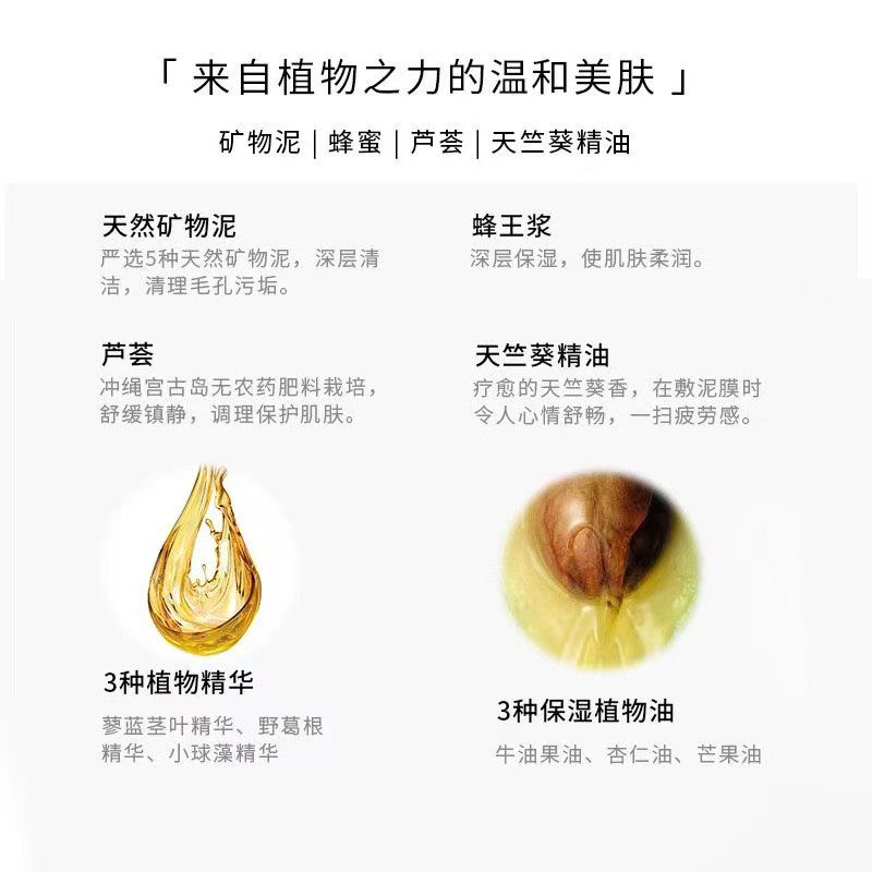 日本进口惠之本铺毛孔清洁矿物泥膜 涂抹式面膜清洁保湿100g,淘宝优惠券,粉丝福利购,淘宝优惠卷