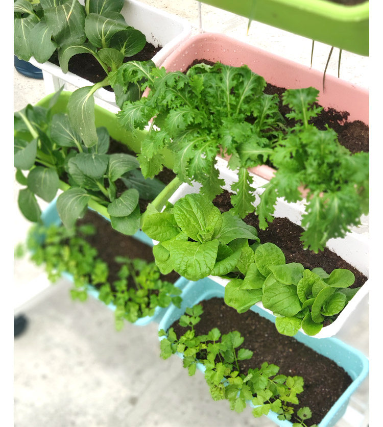 阳台护栏花架悬挂花盆种菜挂架挂壁式多层组合长方形栏杆种植组合,淘宝优惠券,粉丝福利购,淘宝优惠卷