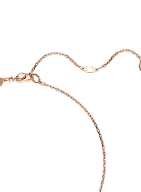 Swarovski女士龙爪造型项链