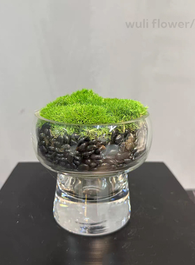 玻璃永生苔藓盆景摆件