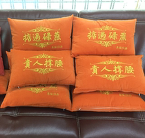 The Auspicious Holding Pillow