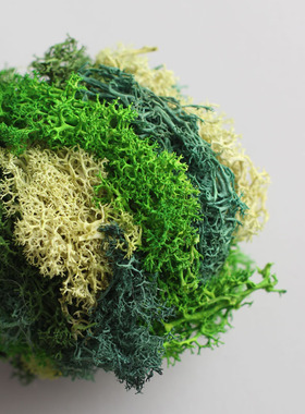 森系绿色永生苔藓球装饰球拍摄背景道具桌面摆件家居样板房搭配