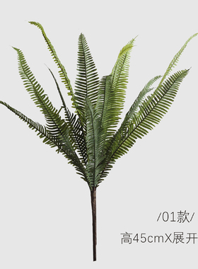 可爱家家居仿真花蕨类植物