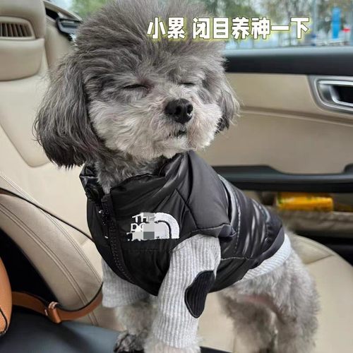 狗狗衣服冬天保暖小型犬秋冬装厚衣服冬季加厚羽绒服潮牌马夹郑州 - 图1