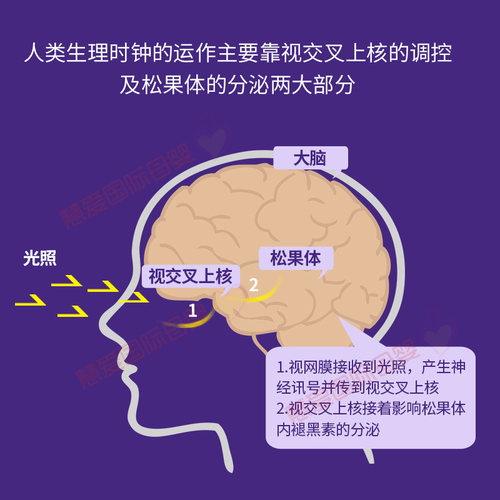 美国Natrol儿童褪黑素安睡软糖助眠调节时差提升睡眠质量90粒 - 图1
