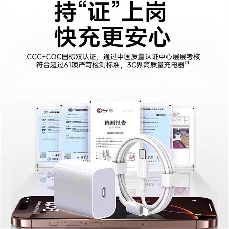 美国适用于苹果充电线原装快充30/45W手机iPhone13/14/15/16/17/11/XS/XR/12proMax正品充电器ipad平板数据线 - 图0