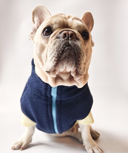 GOODNIGHT晚安法斗巴哥恶霸宠物衣服保暖摇粒绒高领外套法斗衣服 - 图2