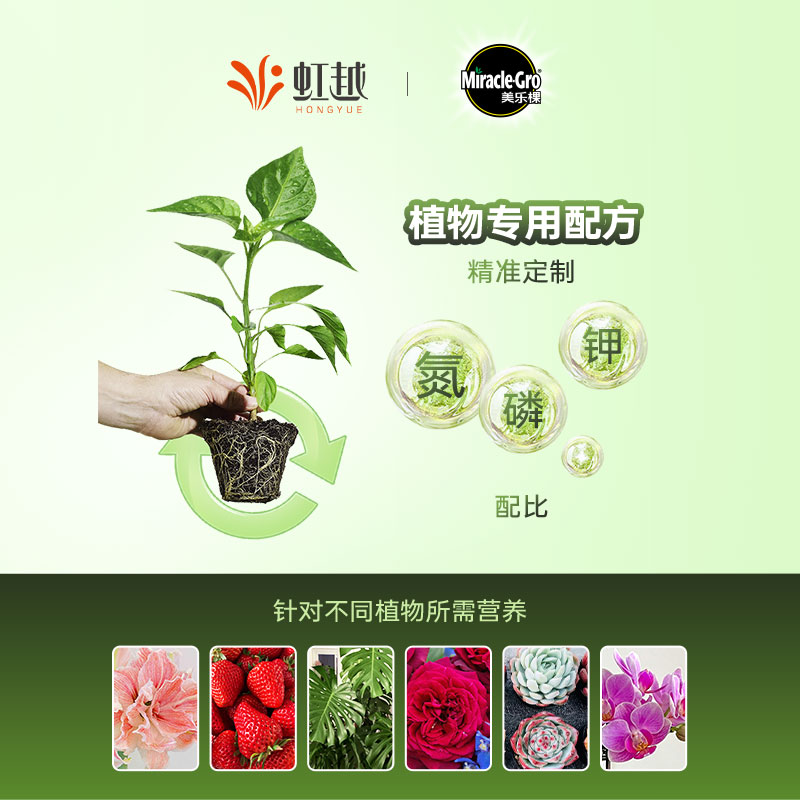 美乐棵植物营养液通用型多肉月季绣球花肥家用虹越肥料花卉绿植用-图1