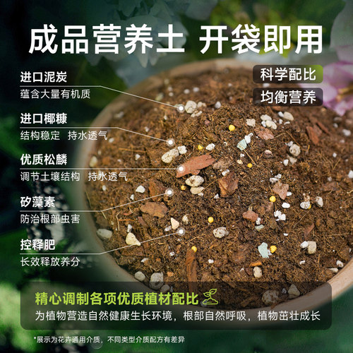 虹越花彩师营养土养花通用专用蓝莓球根月季土盆栽种植泥炭土花土 - 图2