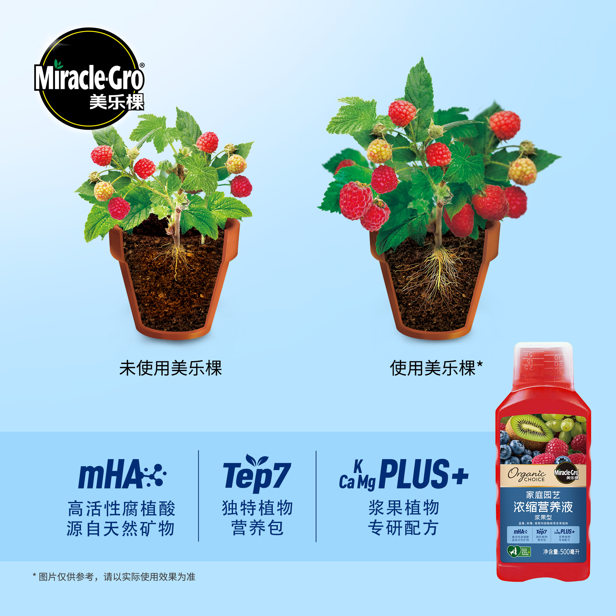 美乐棵浆果型专用浓缩营养液蔬果草莓蓝莓树莓家用种菜肥料通用,淘宝优惠券,粉丝福利购,淘宝优惠卷