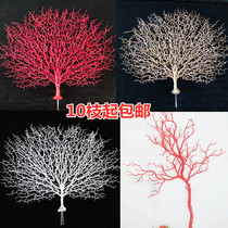 Ocean Series Emulation Coral Branches Dry Branches Coral Branches Shadows shooting Supplies Wedding Props Shop Window Decorations