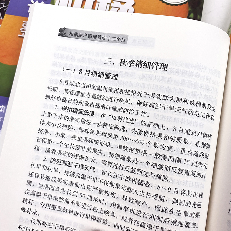 柑橘种植技术书籍4册 果树橘子桔子修剪农业种植管理技术高效栽培大全书病虫害防治生产精细管理十二个月绿色防控彩色图谱七日通 - 图1